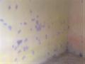 06062009516_resize