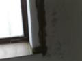19032010697_resize